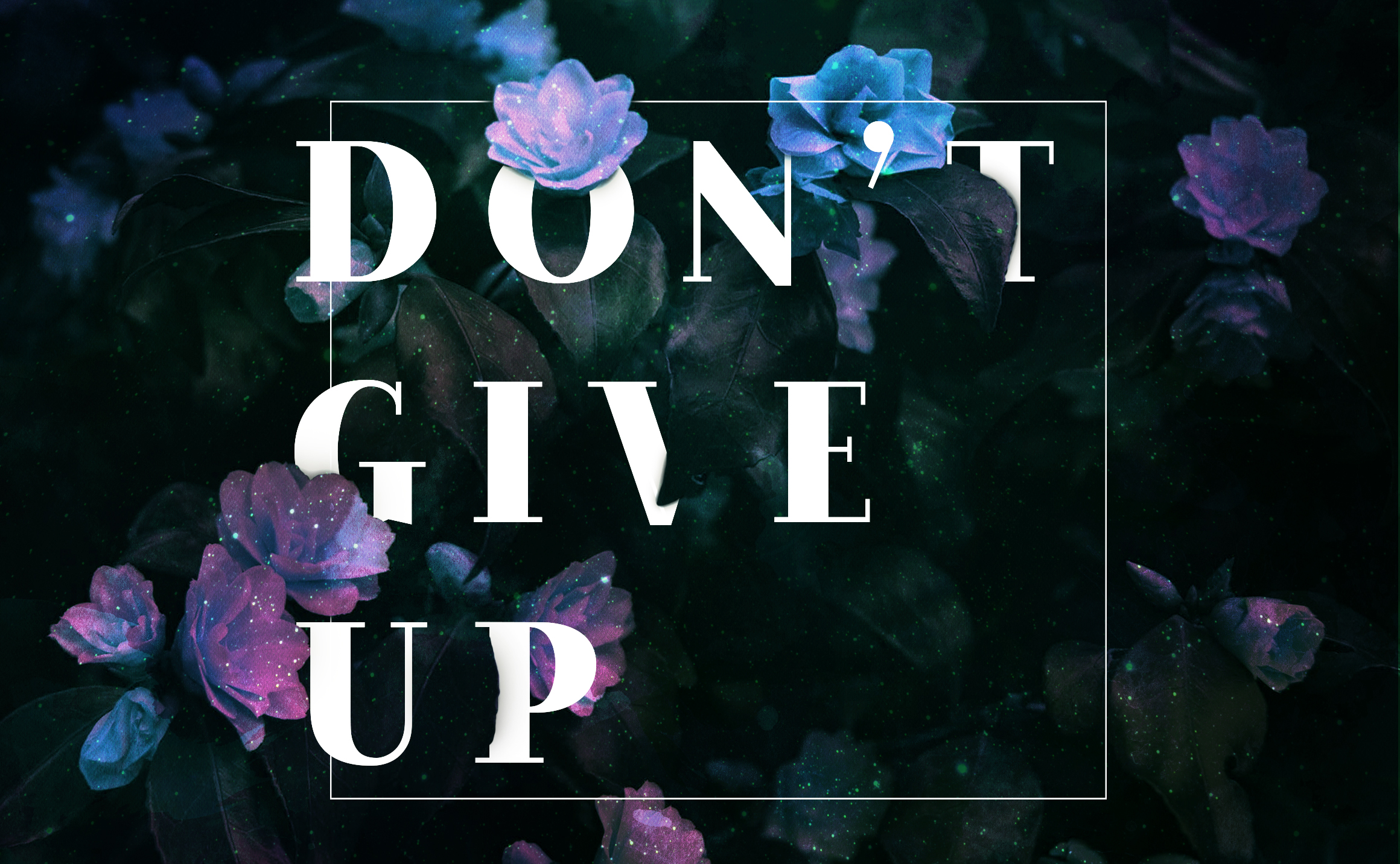 DontGiveUp